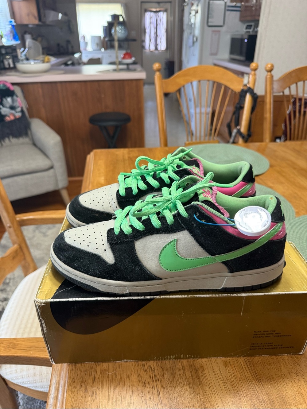 Sb dunk